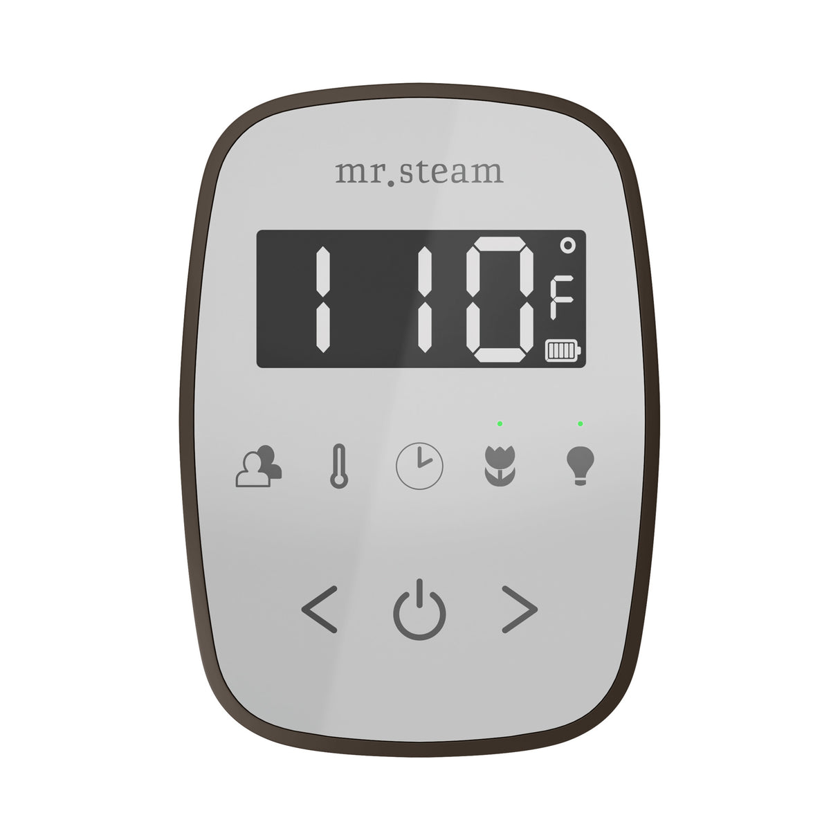 Mr. Steam TempoFlex Steam Shower Control and Steamhead Mr. Steam