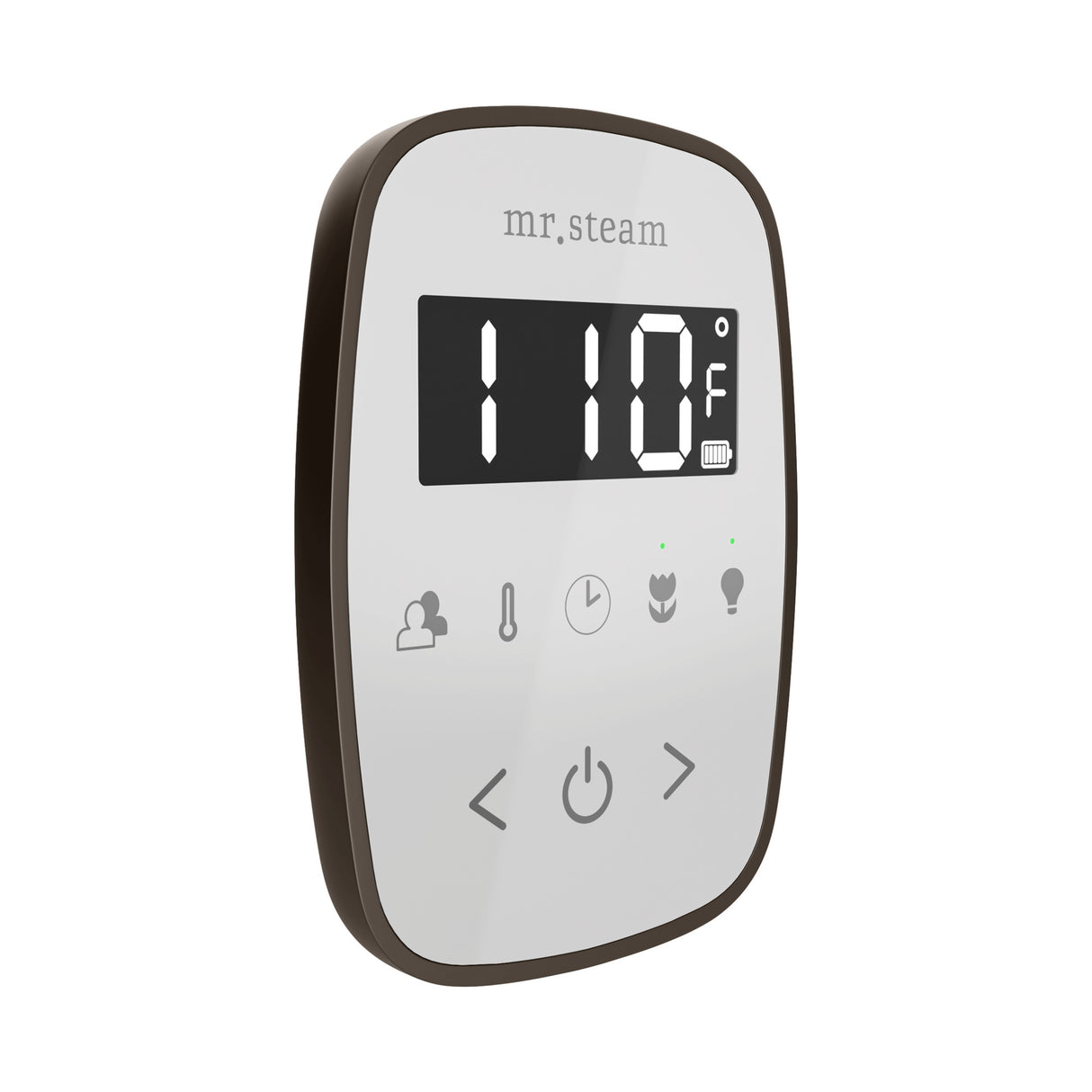 Mr. Steam TempoFlex Steam Shower Control and Steamhead Mr. Steam