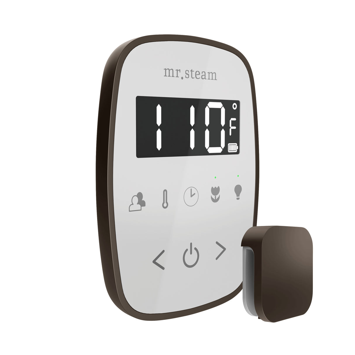 Mr. Steam TempoFlex Steam Shower Control and Steamhead Mr. Steam