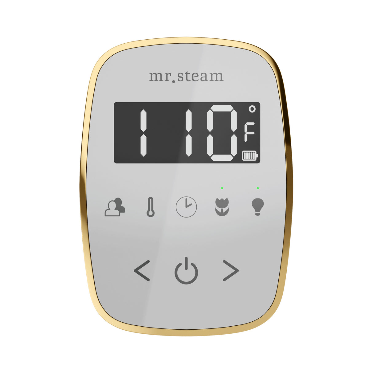 Mr. Steam TempoFlex Steam Shower Control and Steamhead Mr. Steam