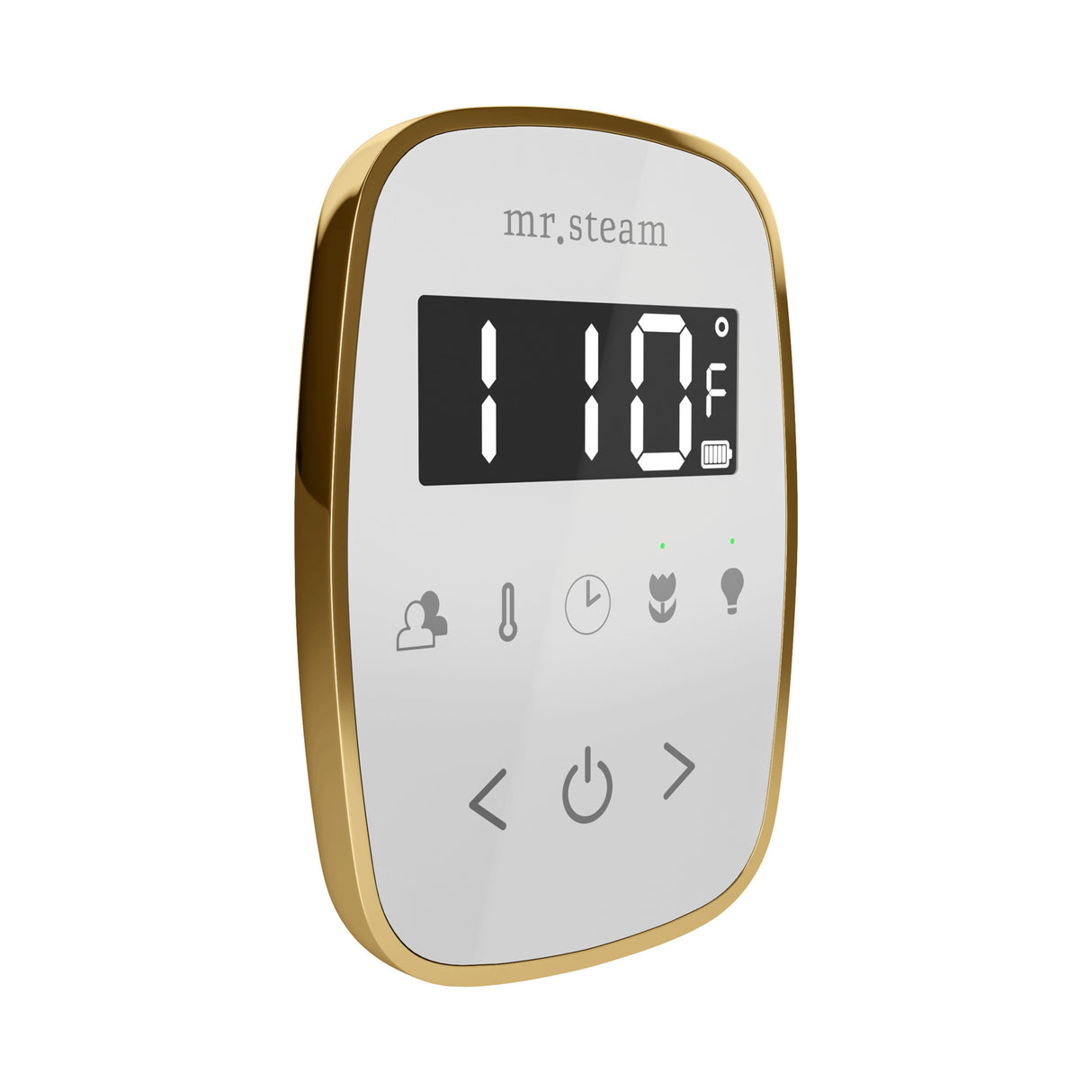 Mr. Steam TempoFlex Steam Shower Control and Steamhead Mr. Steam