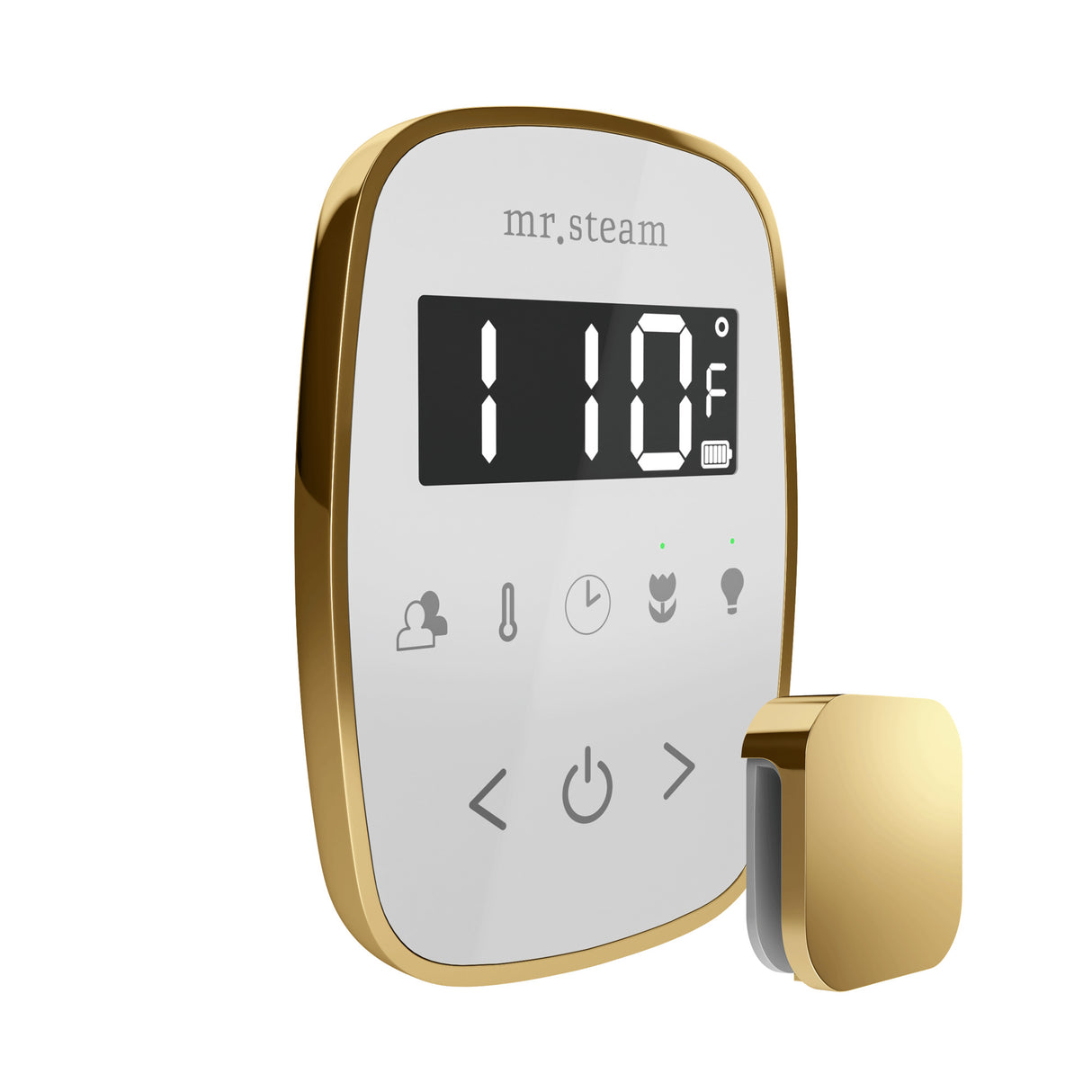 Mr. Steam TempoFlex Steam Shower Control and Steamhead Mr. Steam