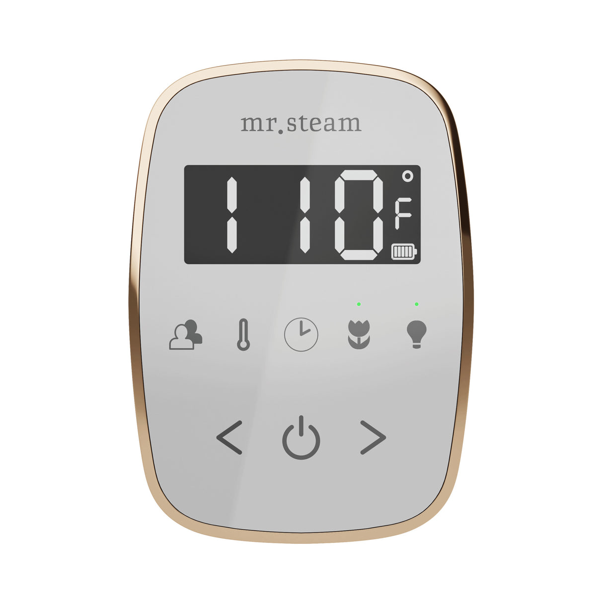 Mr. Steam TempoFlex Steam Shower Control and Steamhead Mr. Steam