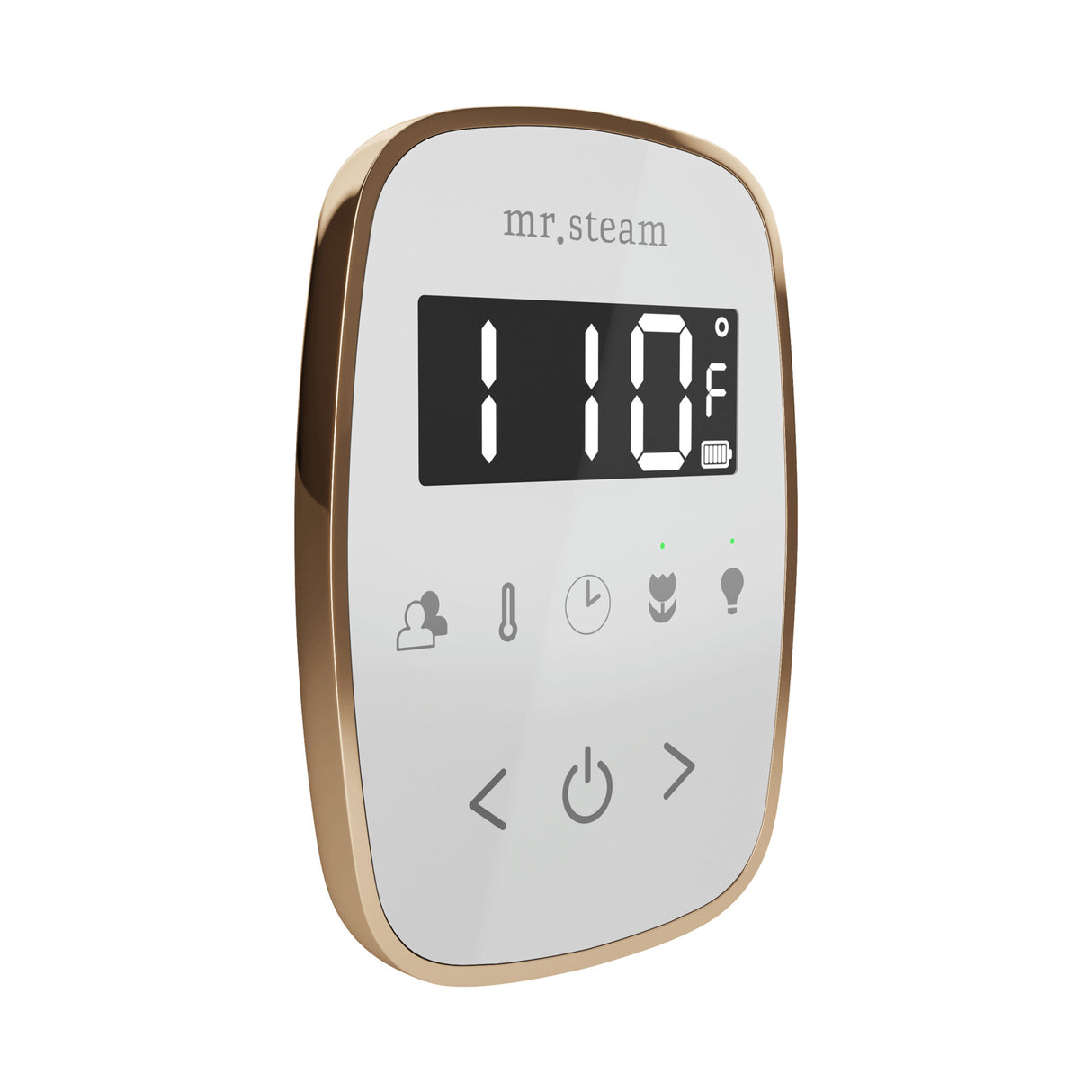 Mr. Steam TempoFlex Steam Shower Control and Steamhead Mr. Steam