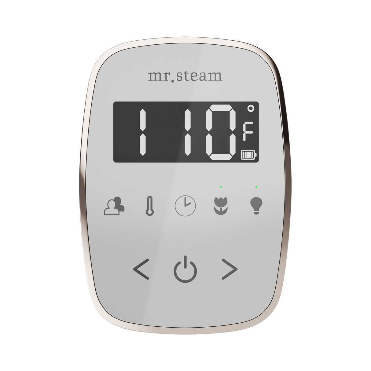 Mr. Steam TempoFlex Steam Shower Control and Steamhead Mr. Steam