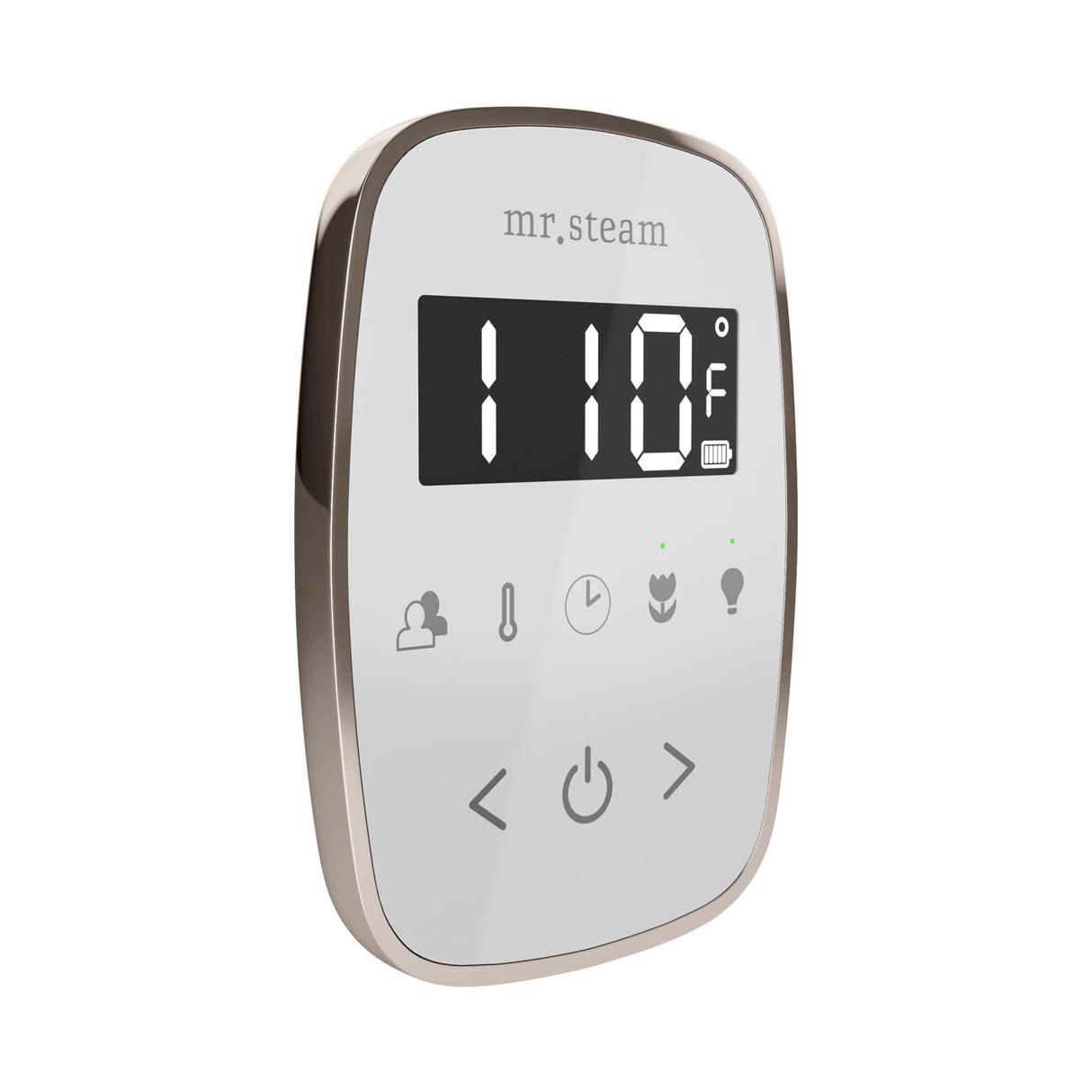 Mr. Steam TempoFlex Steam Shower Control and Steamhead Mr. Steam