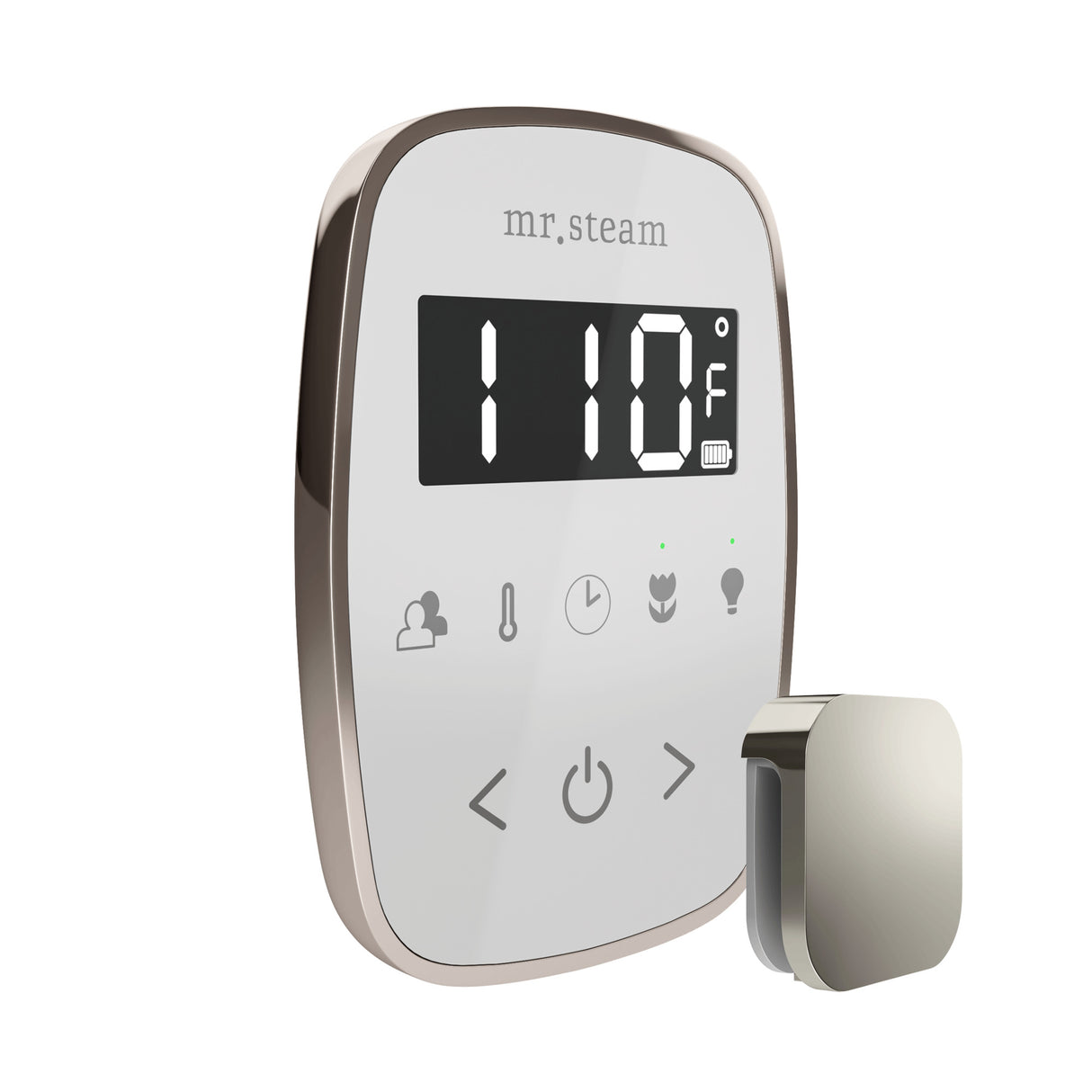 Mr. Steam TempoFlex Steam Shower Control and Steamhead Mr. Steam