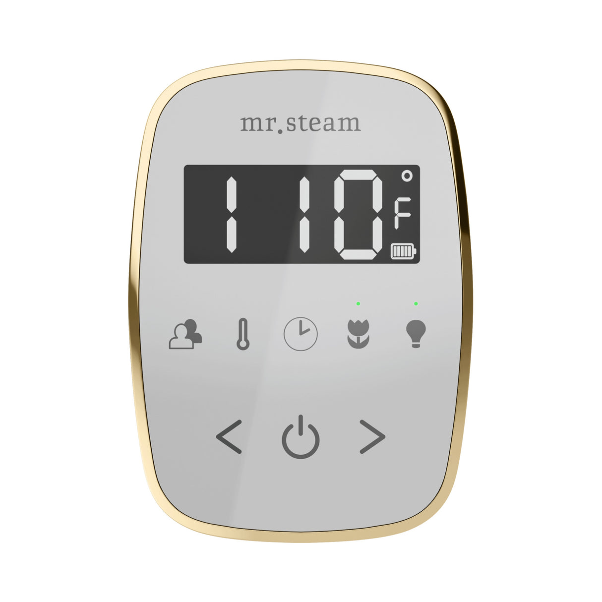 Mr. Steam TempoFlex Steam Shower Control and Steamhead Mr. Steam