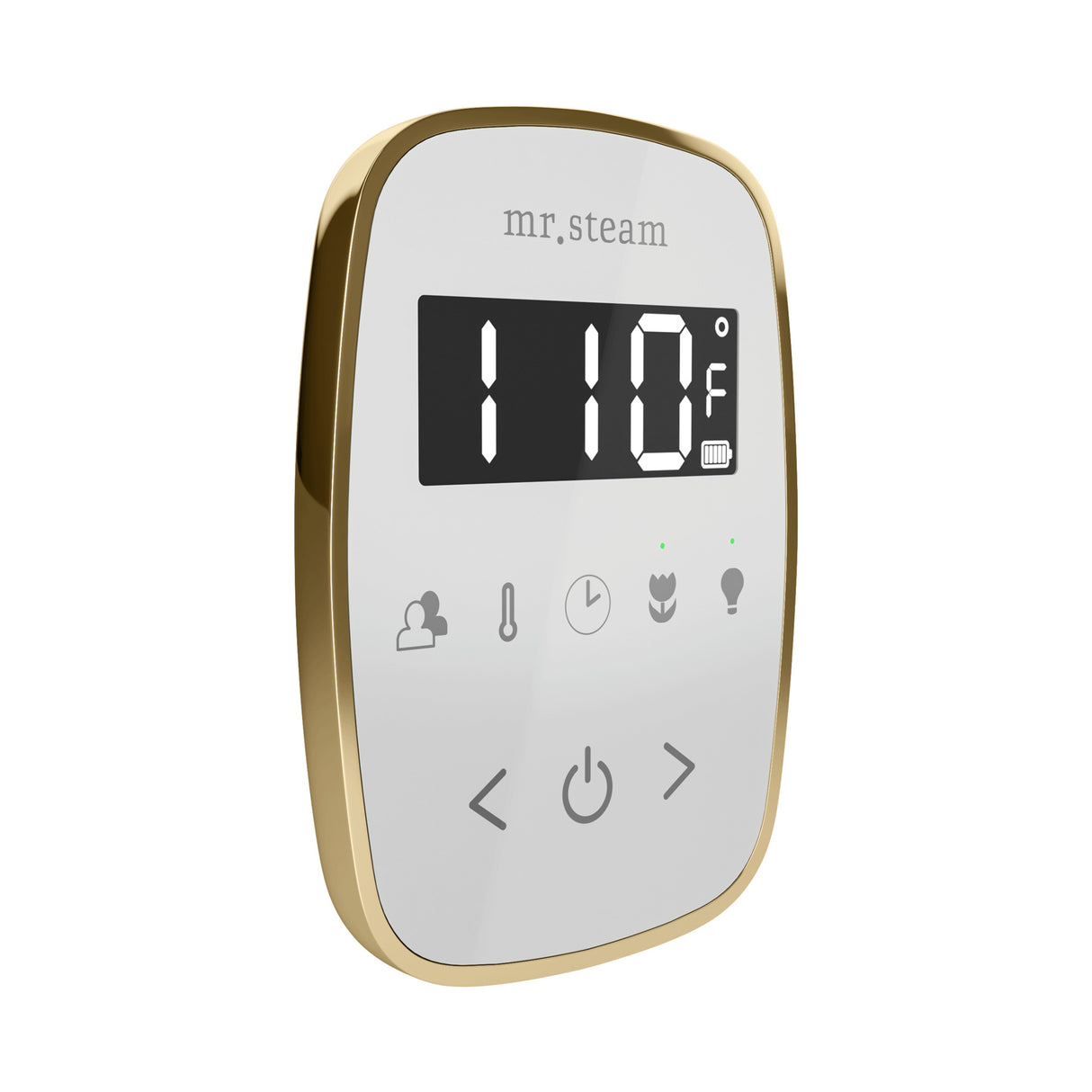 Mr. Steam TempoFlex Steam Shower Control and Steamhead Mr. Steam