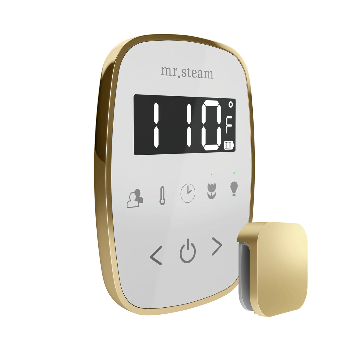 Mr. Steam TempoFlex Steam Shower Control and Steamhead Mr. Steam