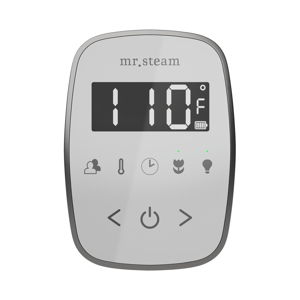 Mr. Steam TempoFlex Steam Shower Control and Steamhead Mr. Steam