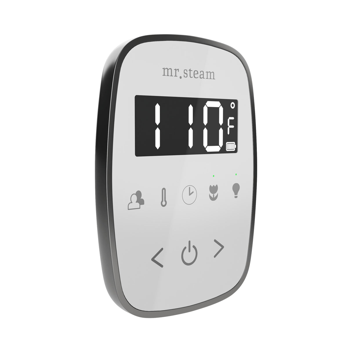 Mr. Steam TempoFlex Steam Shower Control and Steamhead Mr. Steam