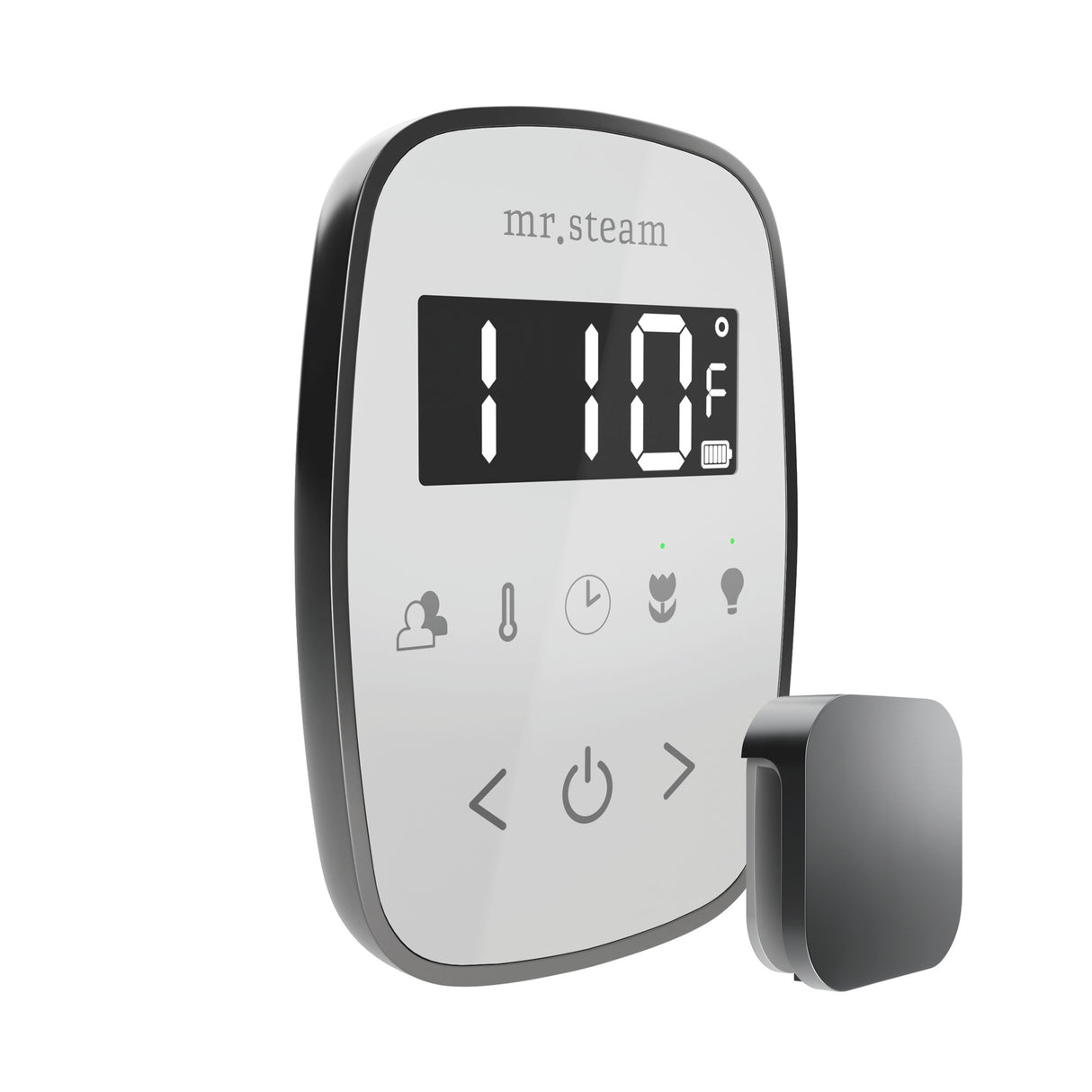 Mr. Steam TempoFlex Steam Shower Control and Steamhead Mr. Steam