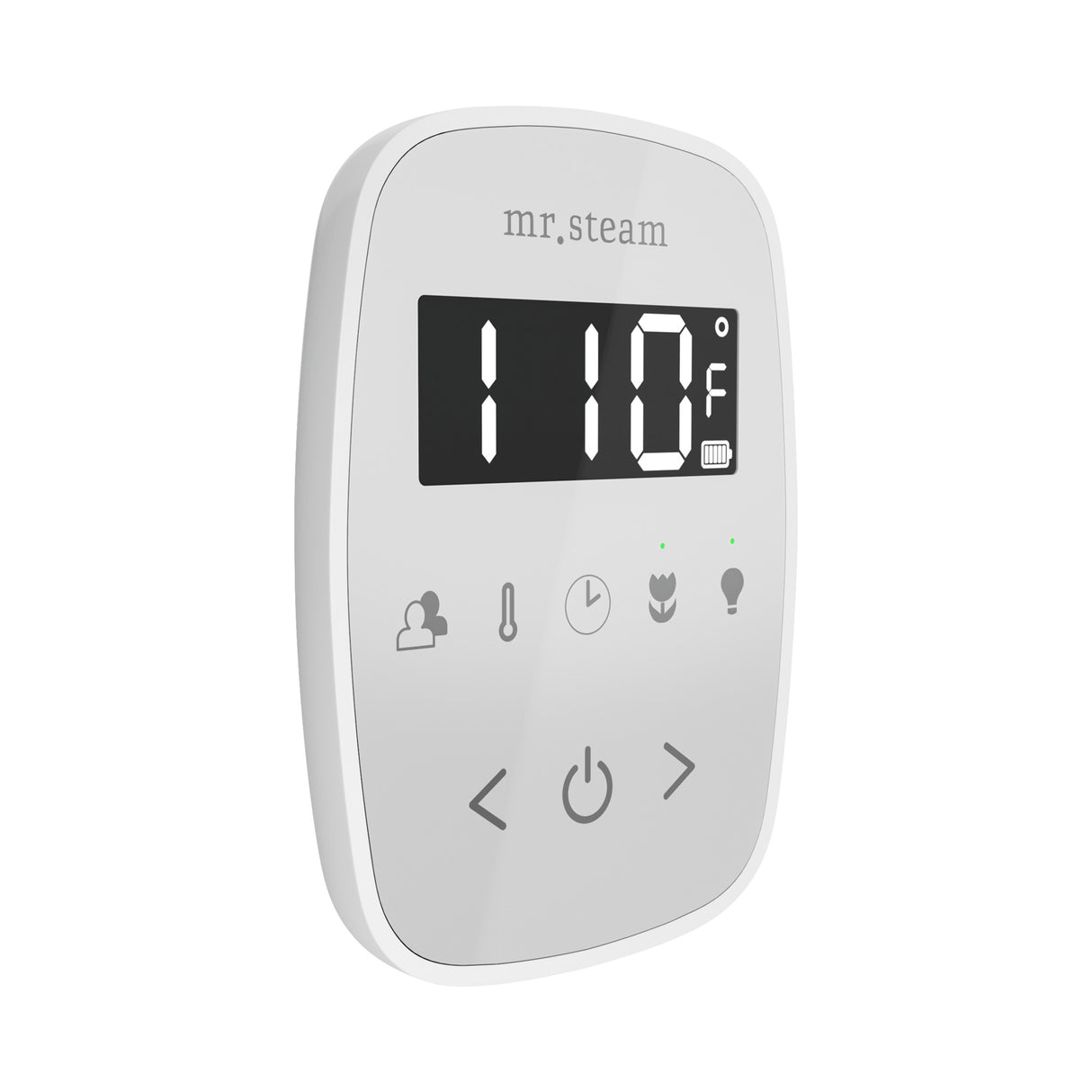 Mr. Steam TempoFlex Steam Shower Control and Steamhead Mr. Steam