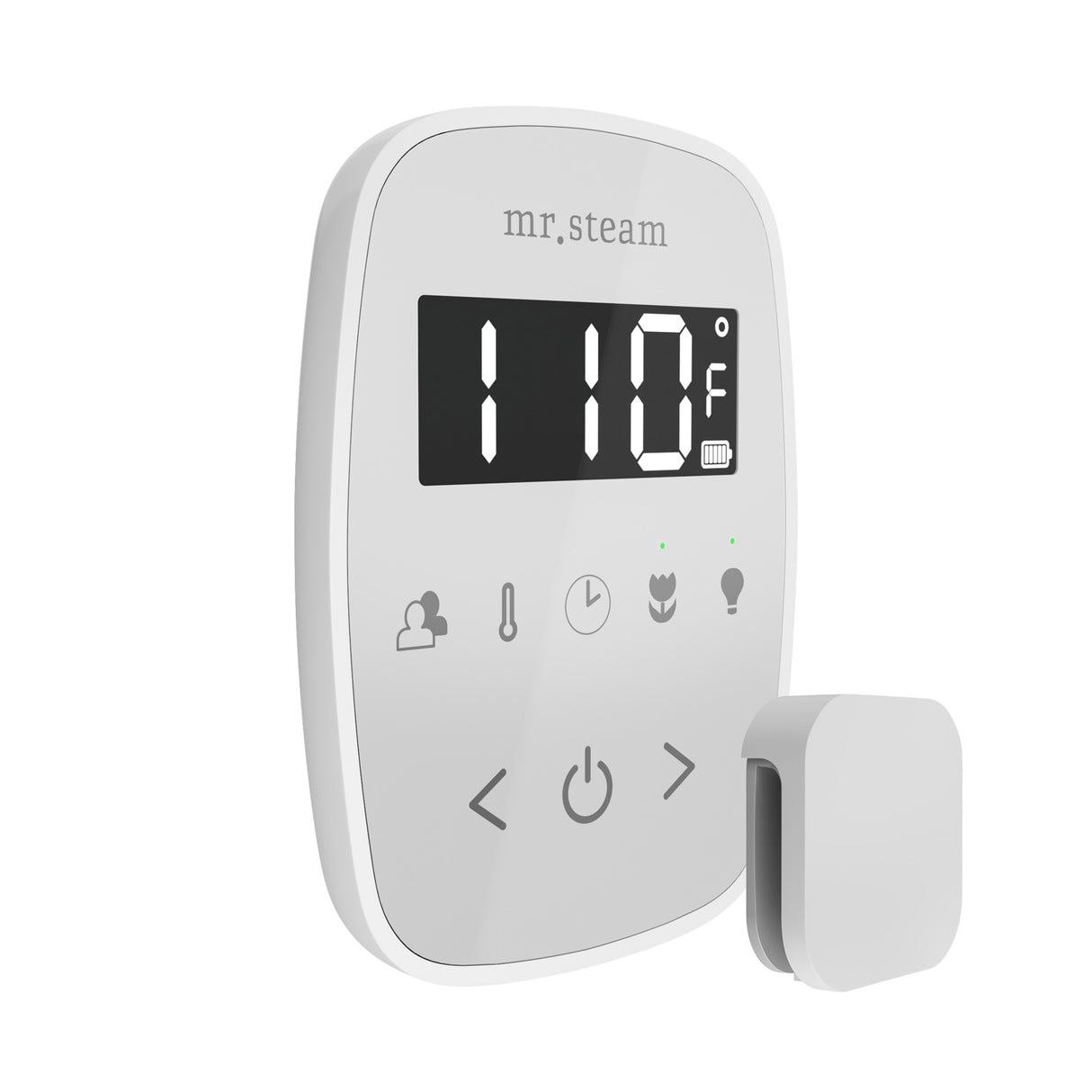 Mr. Steam TempoFlex Steam Shower Control and Steamhead Mr. Steam