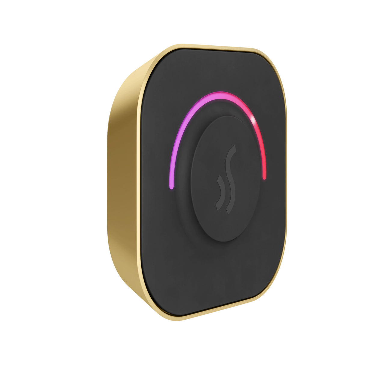 Mr. Steam TempoTouch Steam Shower Control and Steamhead Mr. Steam