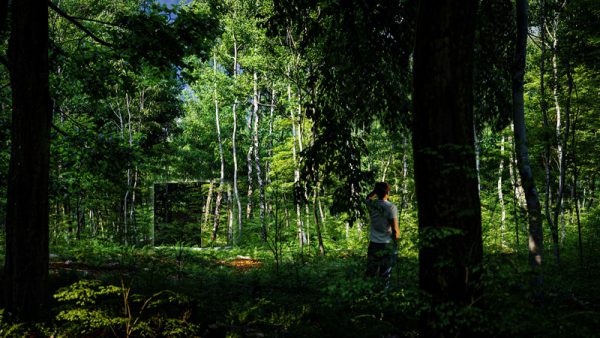 ThermaSol Vue Outdoor Sauna ThermaSol