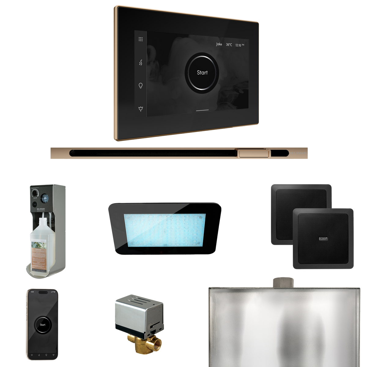 Mr. Steam XDream Steam Shower Control Package with iSteamX Control and Linear Steamhead Mr. Steam