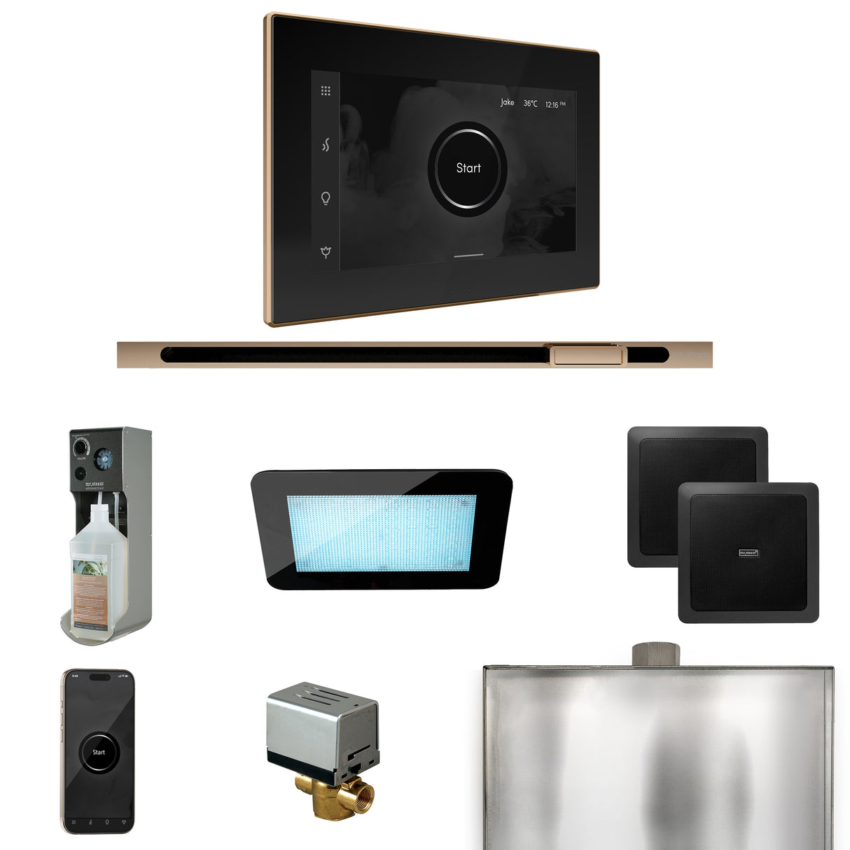 Mr. Steam XDream Steam Shower Control Package with iSteamX Control and Linear Steamhead Mr. Steam