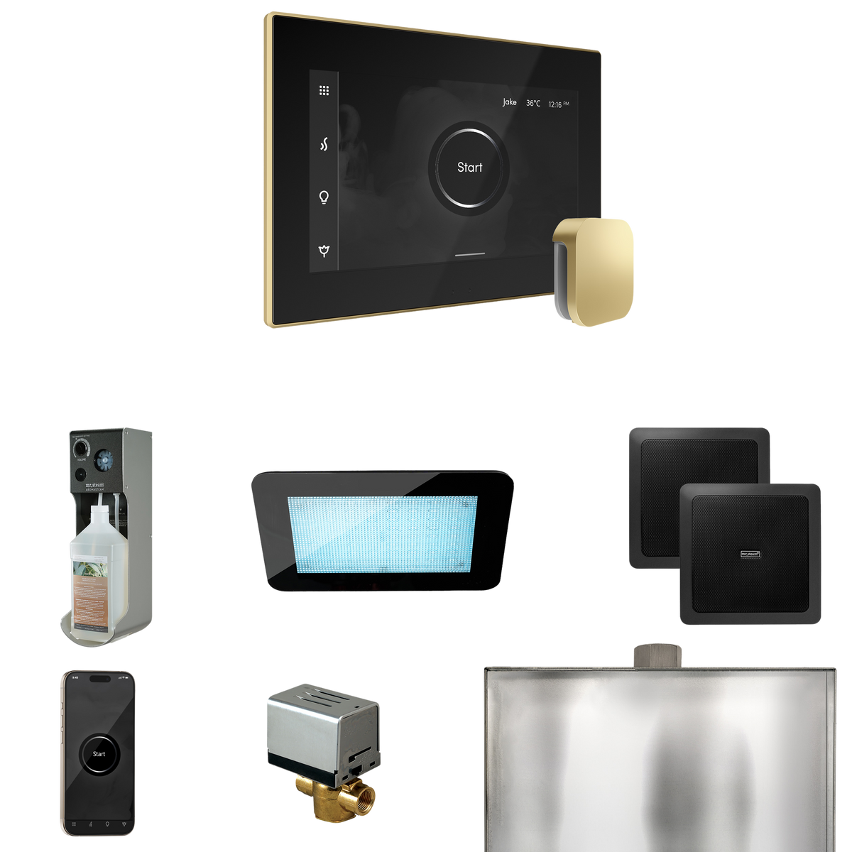 Mr. Steam XDream Steam Shower Control Package with iSteamX Control and Steamhead Mr. Steam