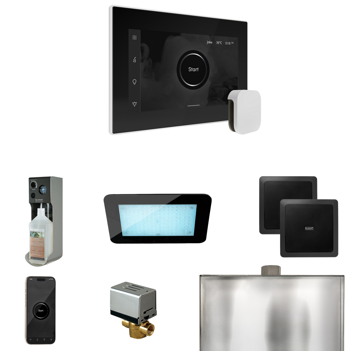 Mr. Steam XDream Steam Shower Control Package with iSteamX Control and Steamhead Mr. Steam
