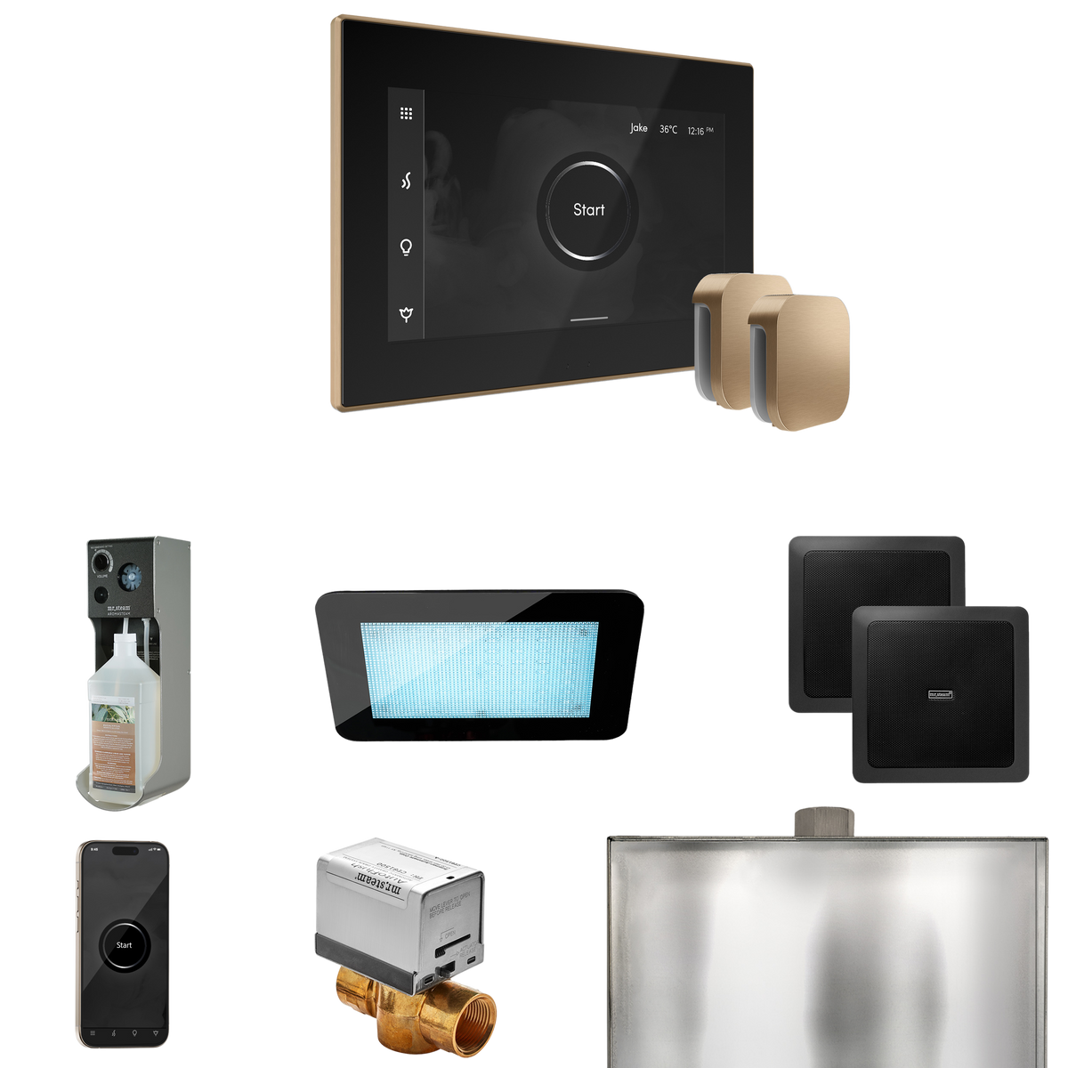 Mr. Steam XDream Max Steam Shower Control Package with iSteamX Control and Steamhead Mr. Steam