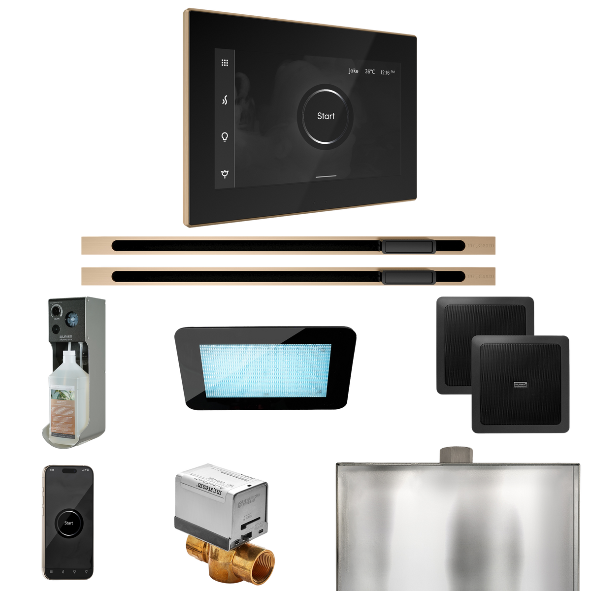 Mr. Steam XDream Max Steam Shower Control Package with iSteamX Control and Linear Steamhead Mr. Steam