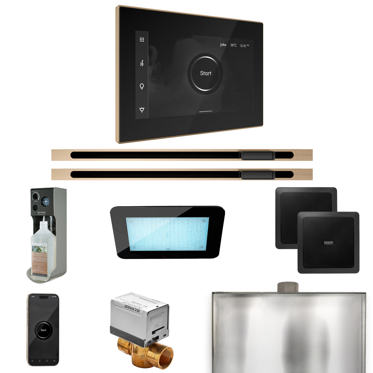 Mr. Steam XDream Max Steam Shower Control Package with iSteamX Control and Linear Steamhead Mr. Steam