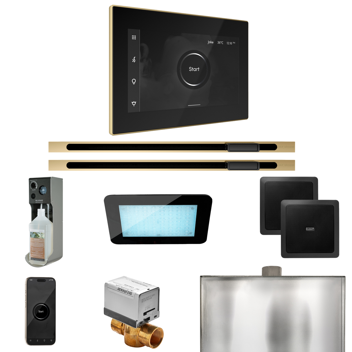 Mr. Steam XDream Max Steam Shower Control Package with iSteamX Control and Linear Steamhead Mr. Steam