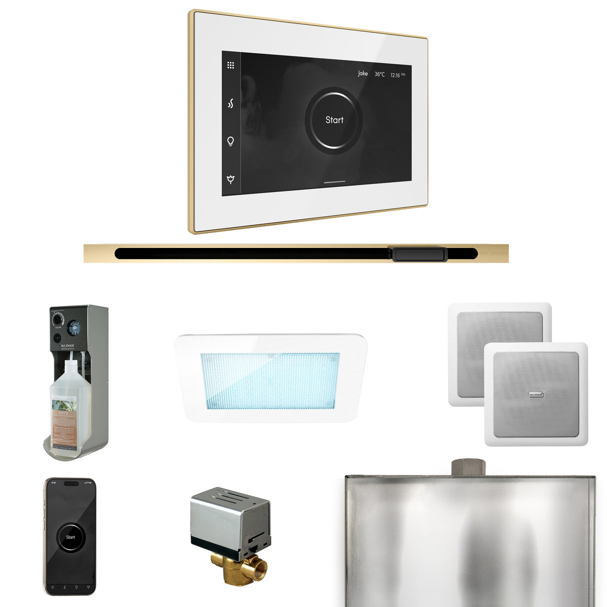 Mr. Steam XDream Steam Shower Control Package with iSteamX Control and Linear Steamhead Mr. Steam