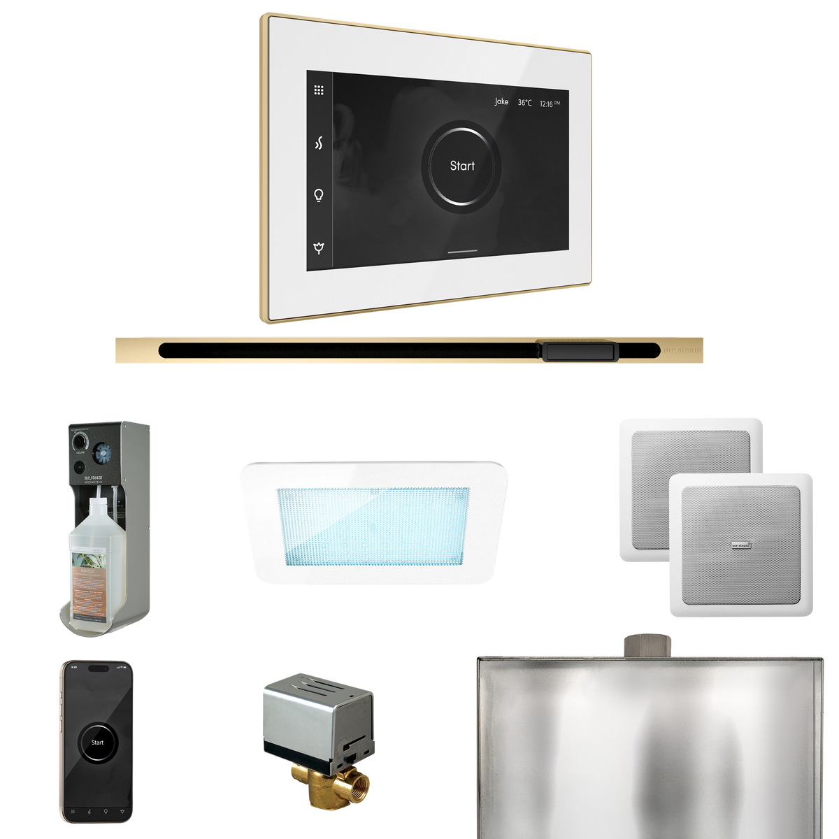 Mr. Steam XDream Steam Shower Control Package with iSteamX Control and Linear Steamhead Mr. Steam