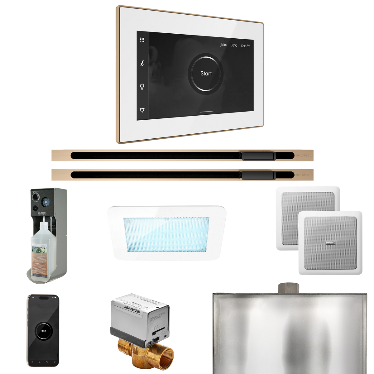 Mr. Steam XDream Max Steam Shower Control Package with iSteamX Control and Linear Steamhead Mr. Steam