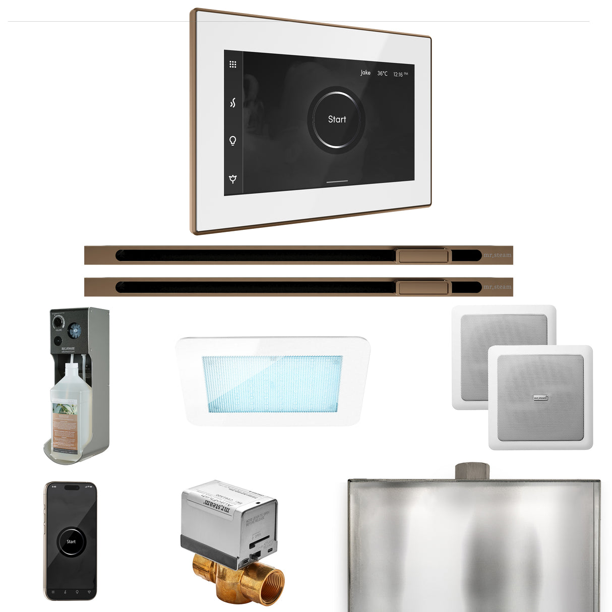 Mr. Steam XDream Max Steam Shower Control Package with iSteamX Control and Linear Steamhead Mr. Steam