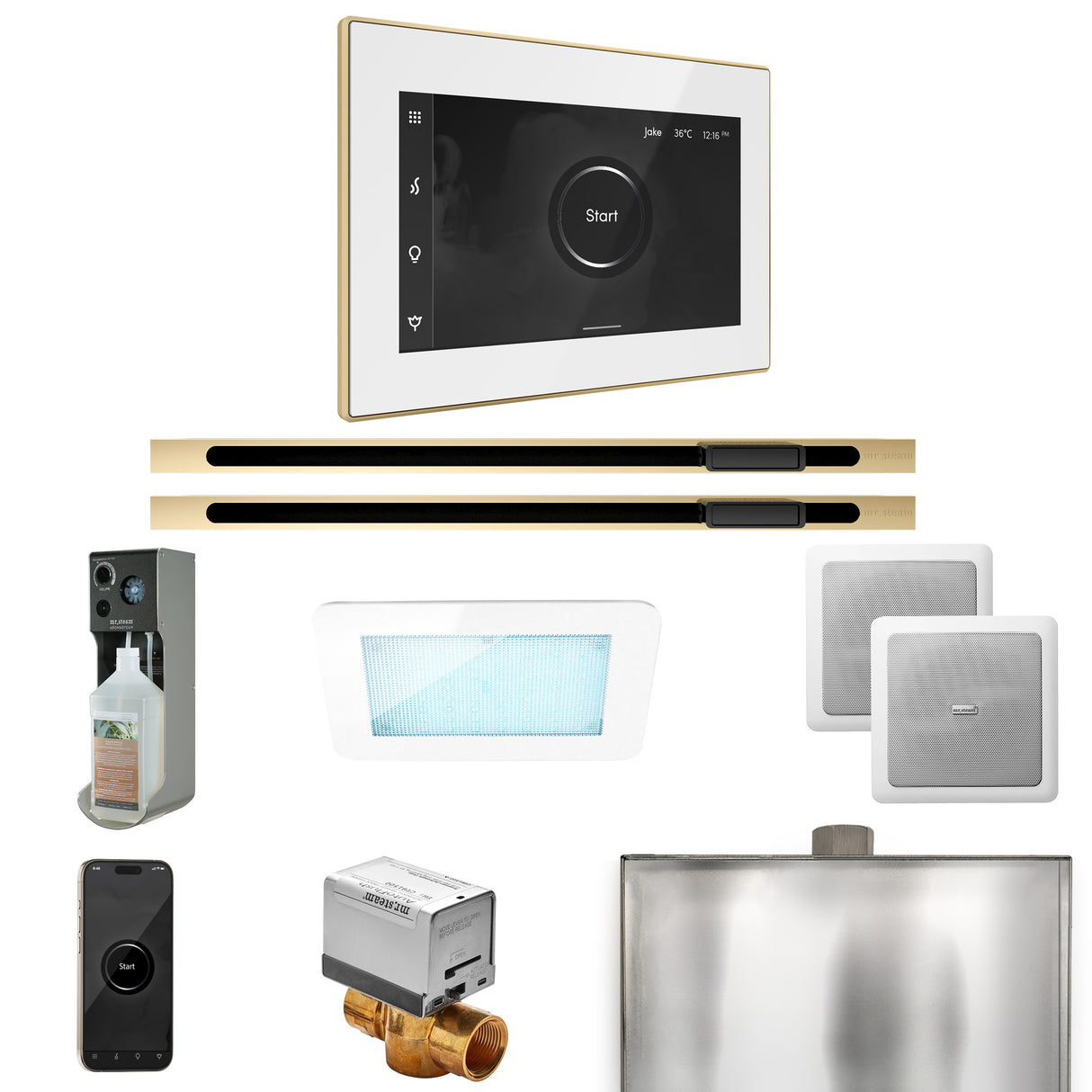 Mr. Steam XDream Max Steam Shower Control Package with iSteamX Control and Linear Steamhead Mr. Steam