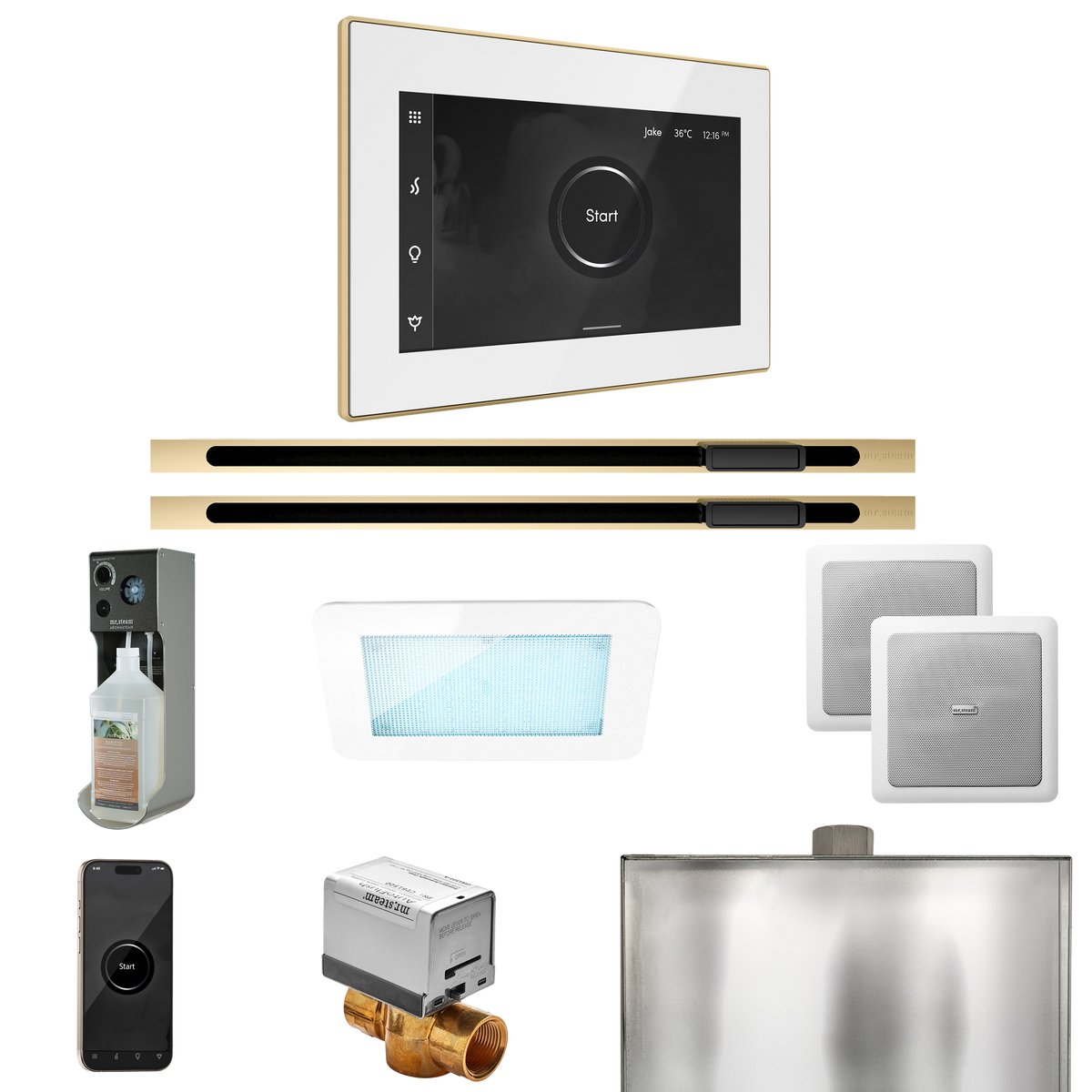 Mr. Steam XDream Max Steam Shower Control Package with iSteamX Control and Linear Steamhead Mr. Steam
