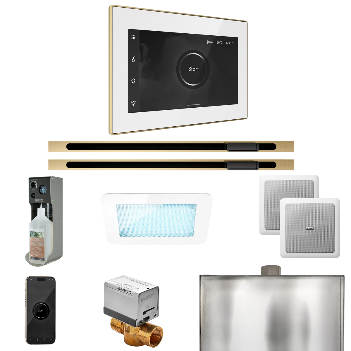 Mr. Steam XDream Max Steam Shower Control Package with iSteamX Control and Linear Steamhead Mr. Steam