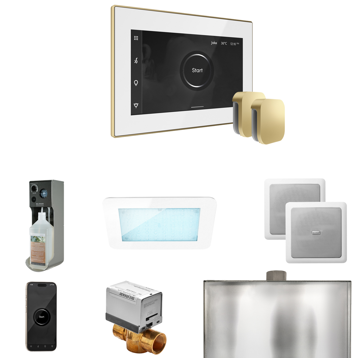 Mr. Steam XDream Max Steam Shower Control Package with iSteamX Control and Steamhead Mr. Steam