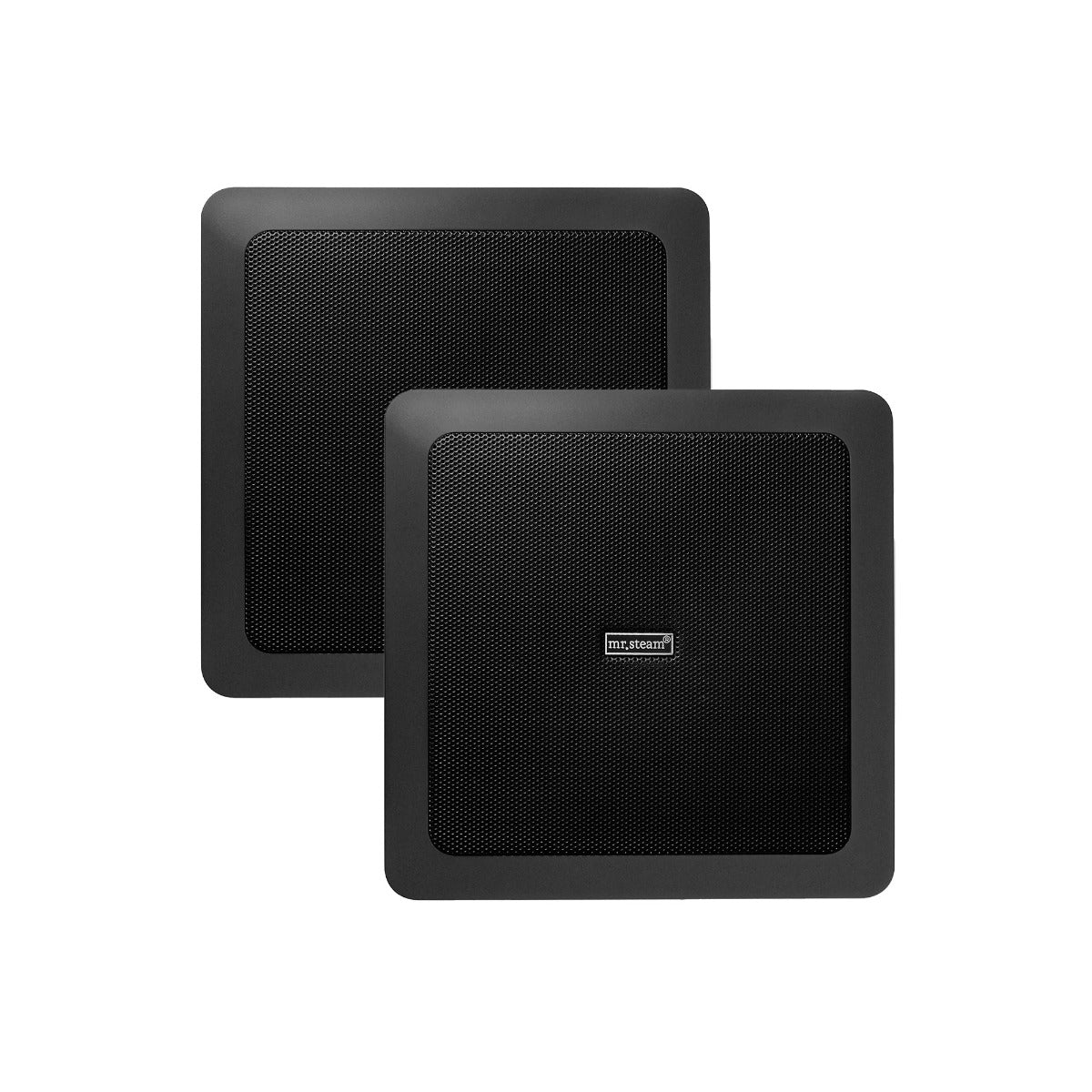 Mr. Steam AudioX System in Black Mr. Steam