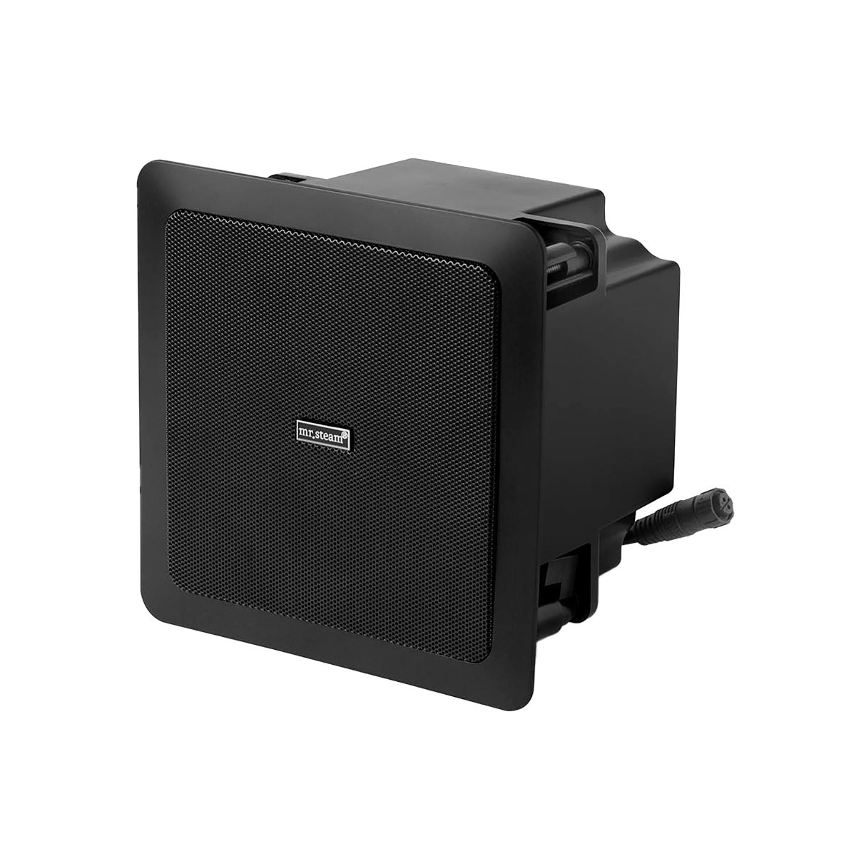 Mr. Steam AudioX System in Black Mr. Steam