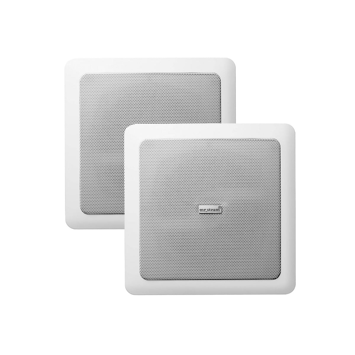 Mr. Steam AudioX System in White Mr. Steam