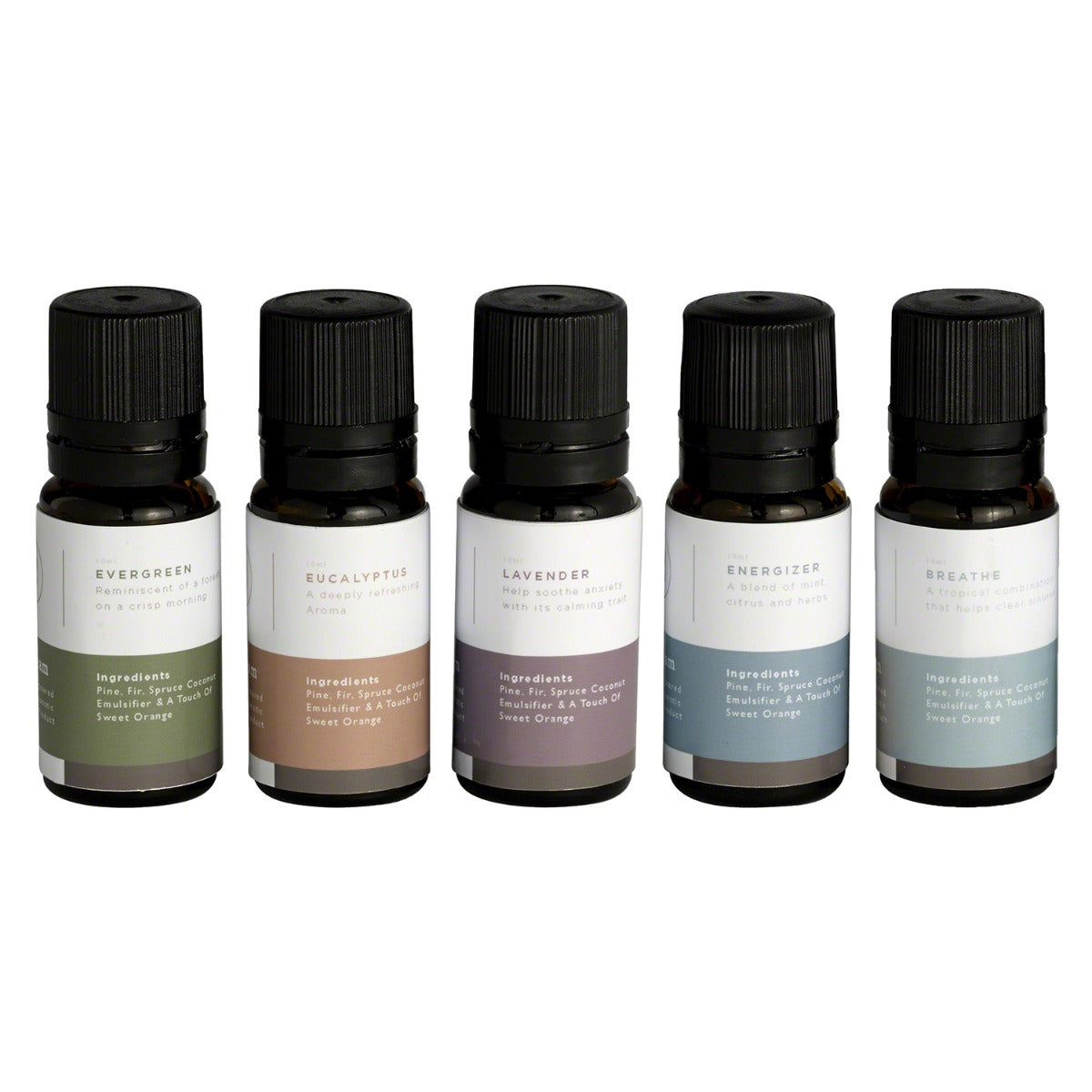 Mr. Steam Multi Essential Aroma Oil Package in 10 mL Bottle Mr. Steam