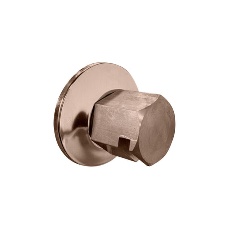 ThermaSol Traditional Style Steam Head 3/4" ThermaSol