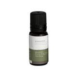 Mr. Steam Evergreen Essential Aroma Oil in 10 mL Bottle Mr. Steam