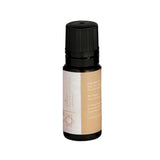 Mr. Steam Invigorating Orange Chakra Aroma Oil in 10 mL Bottle Mr. Steam