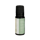 Mr. Steam Green Harmony Chakra Aroma Oil in 10 mL Bottle Mr. Steam