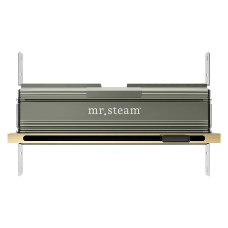 Mr. Steam Linear 16 in. W. Steamhead with AromaTherapy Reservoir