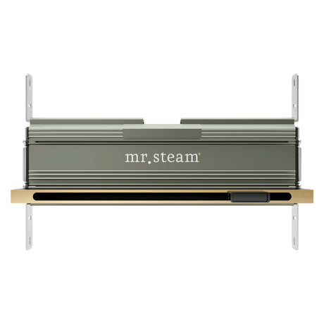 Mr. Steam Linear 16 in. W. Steamhead with AromaTherapy Reservoir