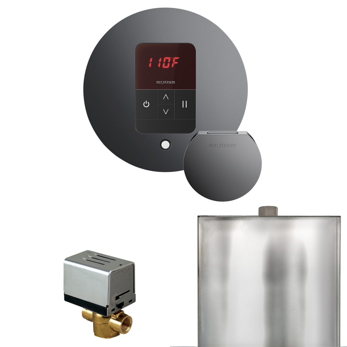 Mr. Steam Basic Butler Steam Shower Control Package with iTempo Control and Steamhead Mr. Steam