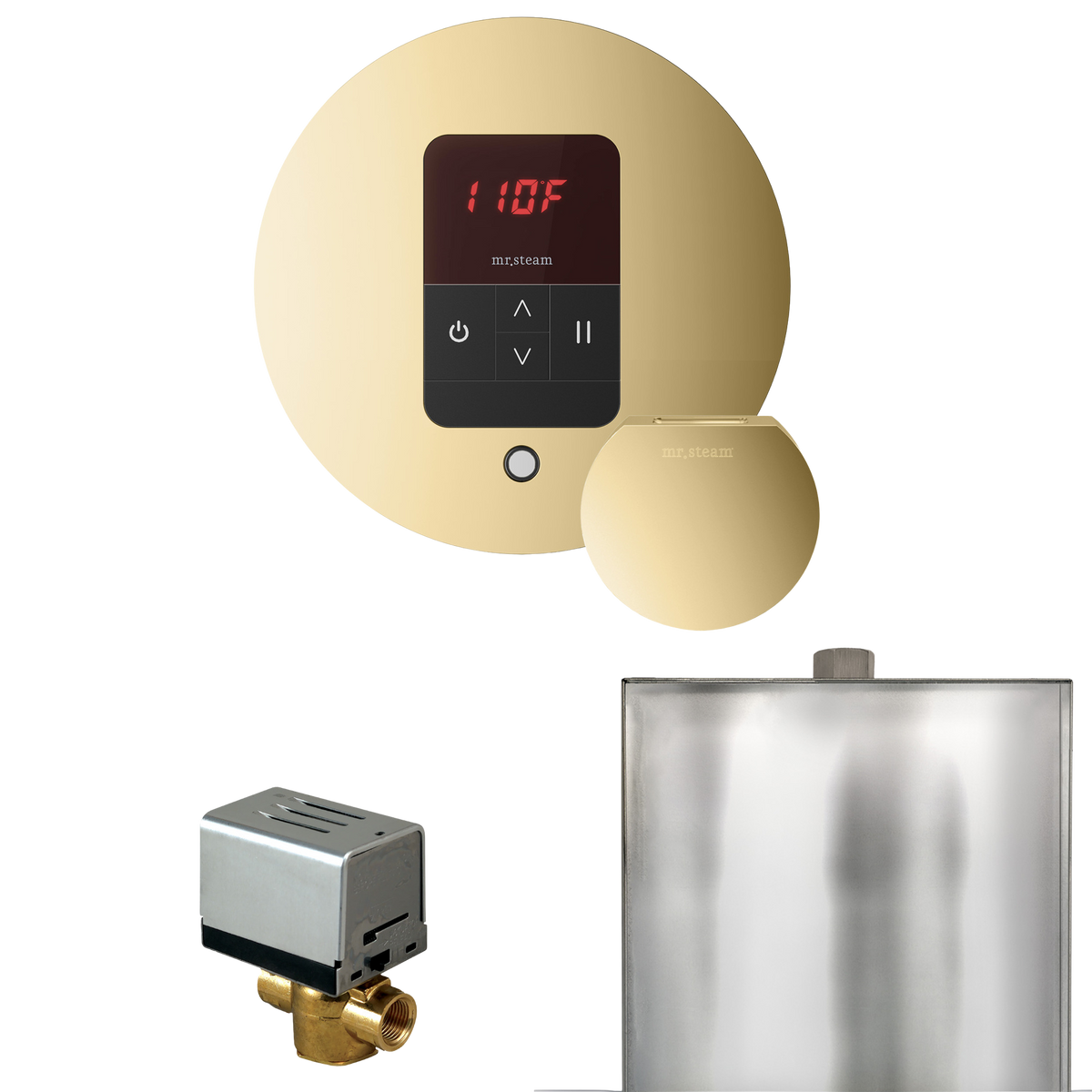 Mr. Steam Basic Butler Steam Shower Control Package with iTempo Control and Steamhead Mr. Steam
