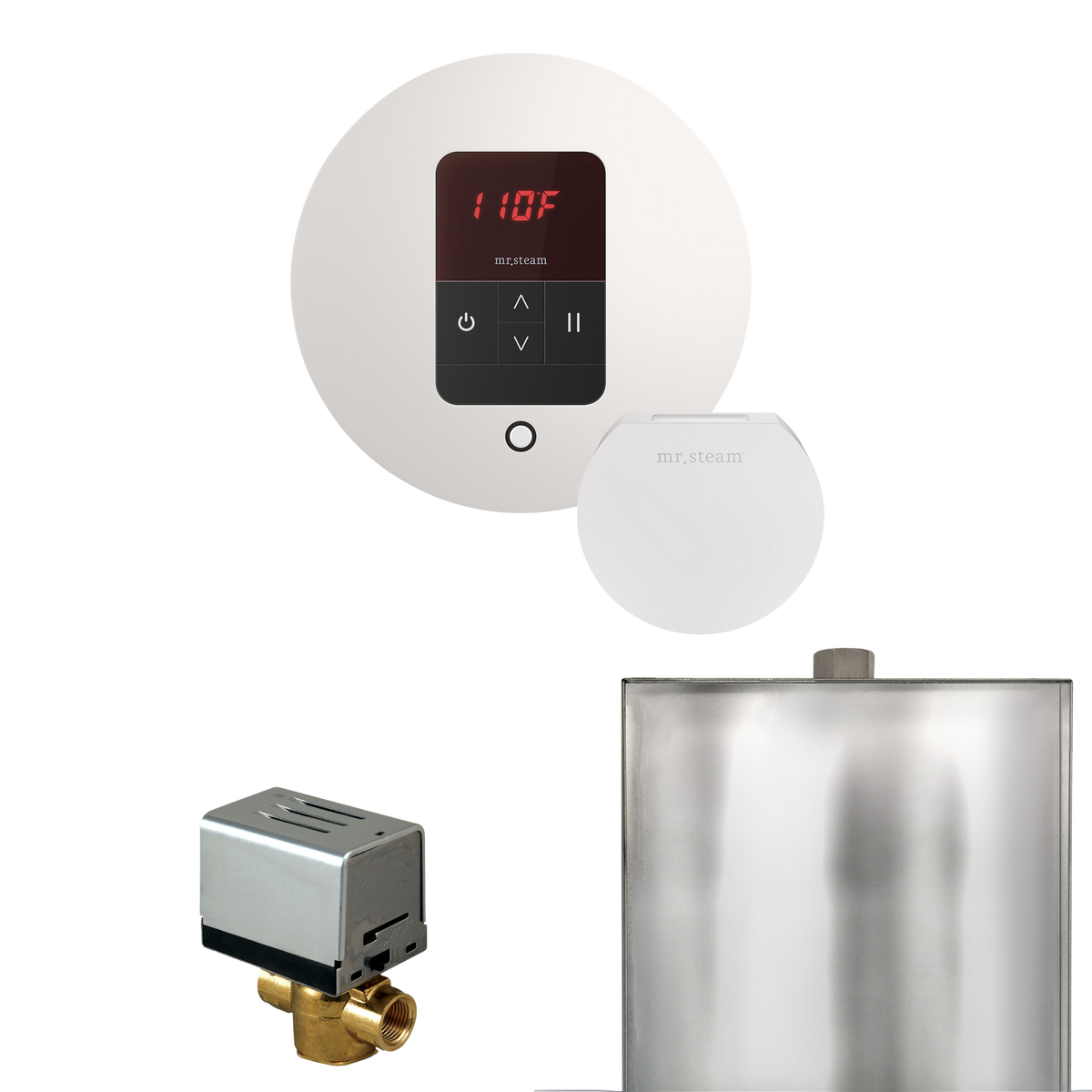 Mr. Steam Basic Butler Steam Shower Control Package with iTempo Control and Steamhead Mr. Steam